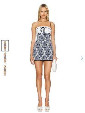 Zahra Mini Dress Revolve
